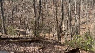 0 Valley View Drive, Jasper, GA 30143