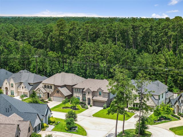 271 Bronze View Drive, Montgomery, TX 77316