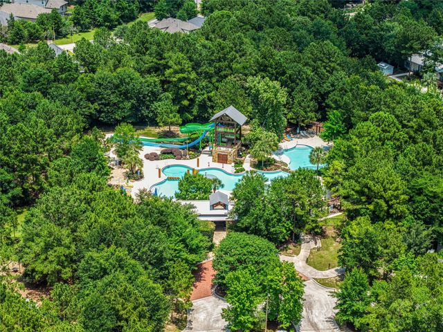 271 Bronze View Drive, Montgomery, TX 77316