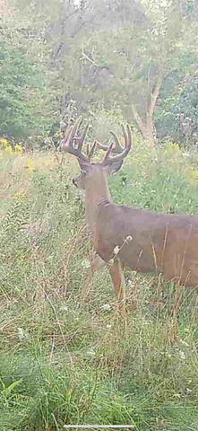 N4601 SHEEHAN LAKE LANE, Campbellsport, WI 53010