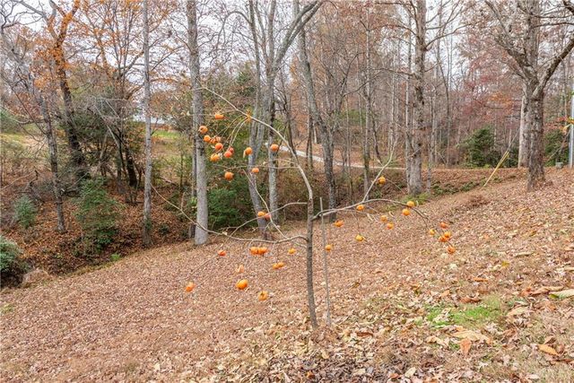 313 Hester Road, Dahlonega, GA 30533