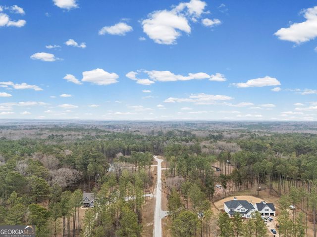 20 Austin Woods Drive, Senoia, GA 30276