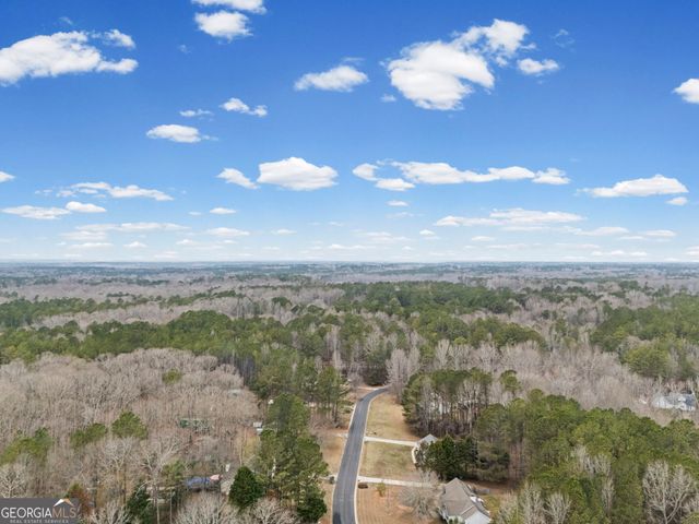 20 Austin Woods Drive, Senoia, GA 30276