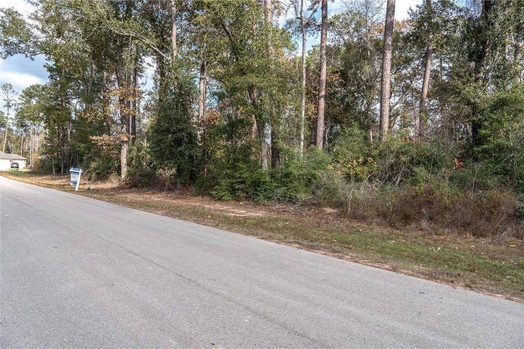 3010 Parthenon Place, New Caney, TX 77357