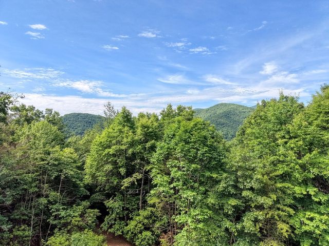237 Flat Rock Ridge Road, Blairsville, GA 30512