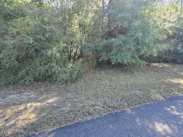 Lots 10-11 Ambassador Drive, Chipley, FL 32428