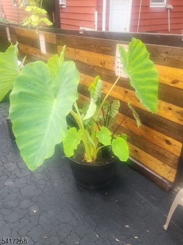 231 Wainwright St, Newark City, NJ 07112