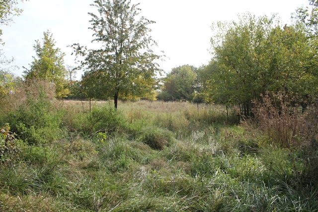 13279 Lovers Lane Road, Princeton, IL 61356