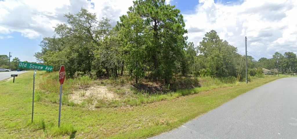 00 OLD SQUAW AVENUE, Weeki Wachee, FL 34614