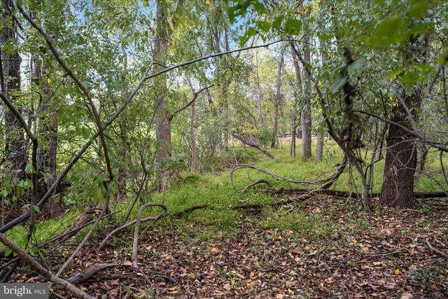 37009 PHILOMONT RD, Purcellville, VA 20132