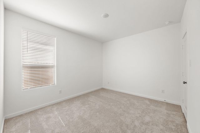 16507 Mesquite Field Drive, Hockley, TX 77447