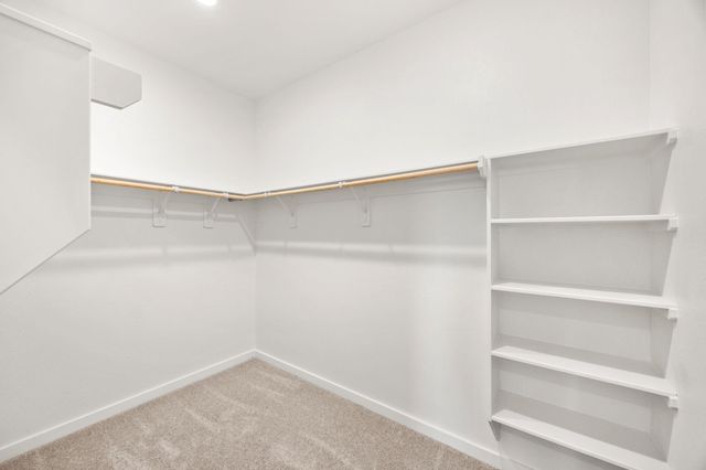 16507 Mesquite Field Drive, Hockley, TX 77447