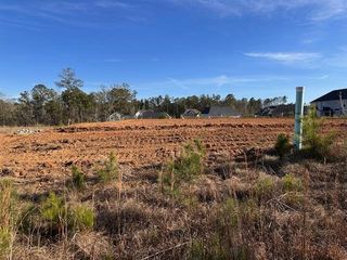 8000 Climbing Ivy Court, Fortson, GA 31808