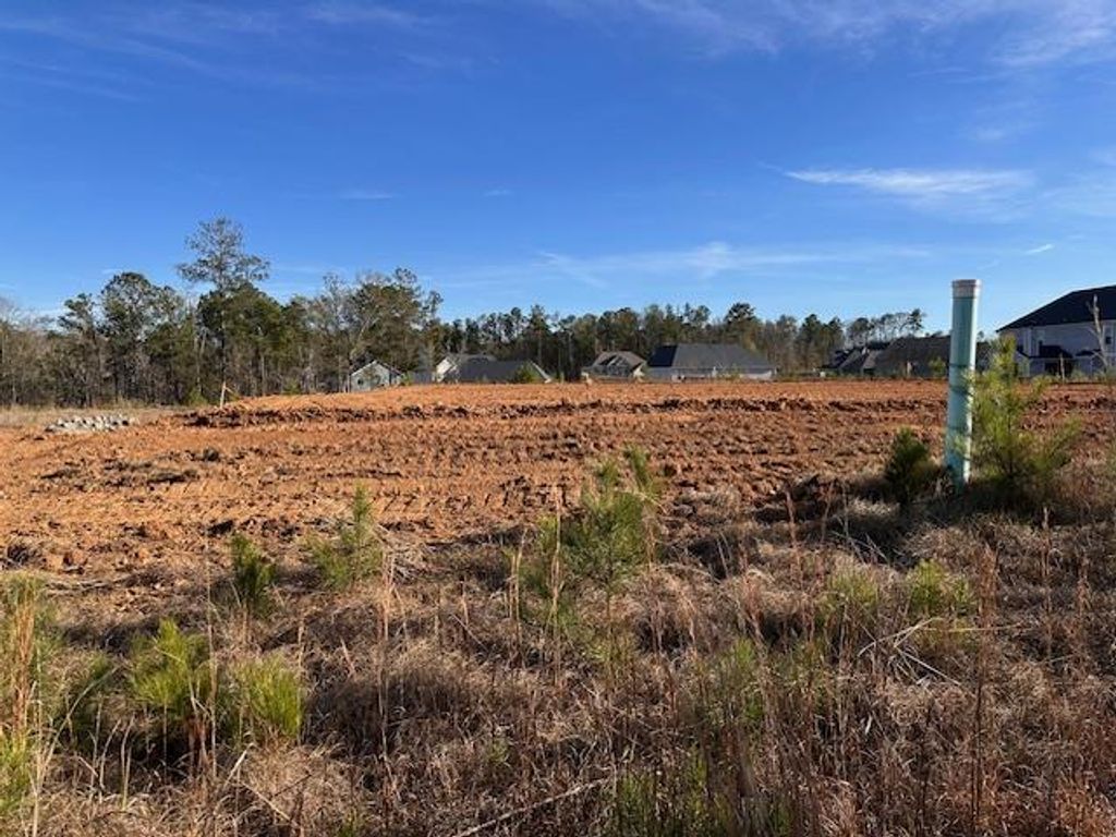 8000 Climbing Ivy Court, Fortson, GA 31808