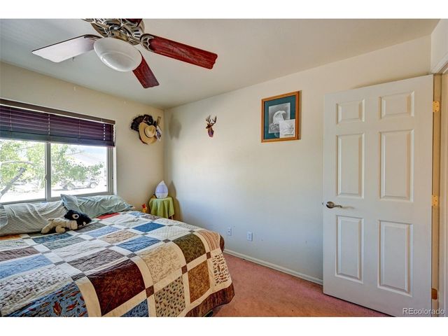 97 Tammie Dr, Buena Vista, CO 81211