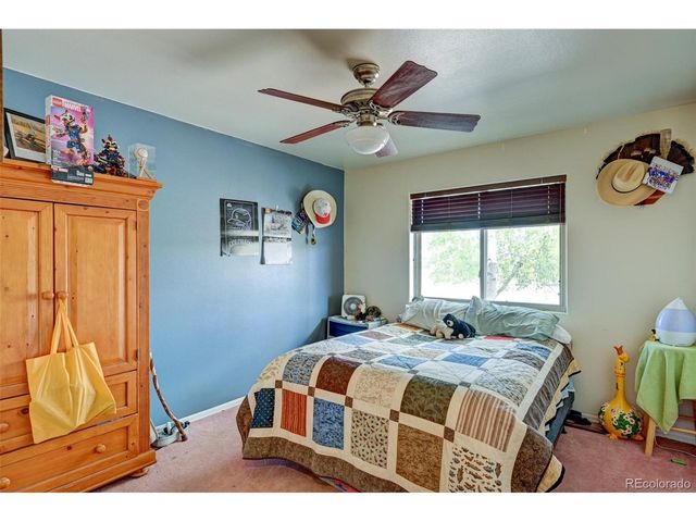 97 Tammie Dr, Buena Vista, CO 81211