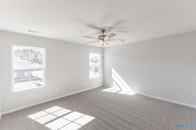 101 Gulf Hills Avenue, Toney, AL 35773