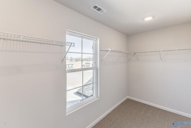 101 Gulf Hills Avenue, Toney, AL 35773