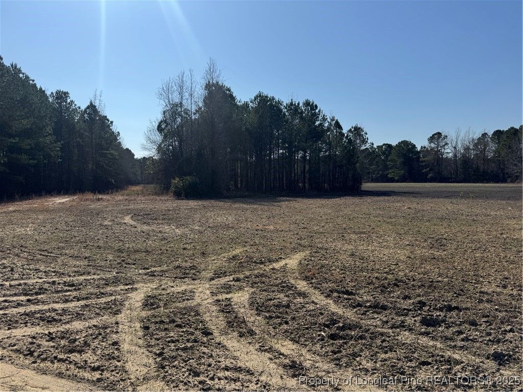 0 American Indian Highway, Lumberton, NC 28358 — photo 14
