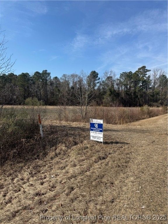 0 American Indian Highway, Lumberton, NC 28358 — photo 2