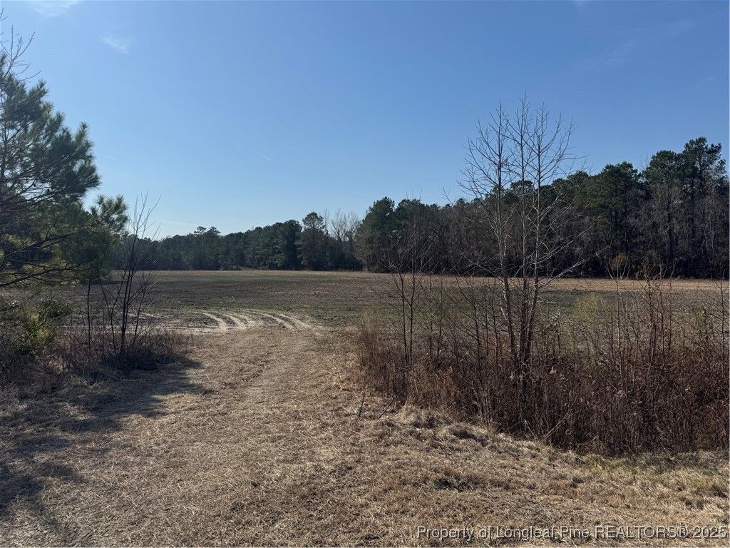 0 American Indian Highway, Lumberton, NC 28358 — photo 3