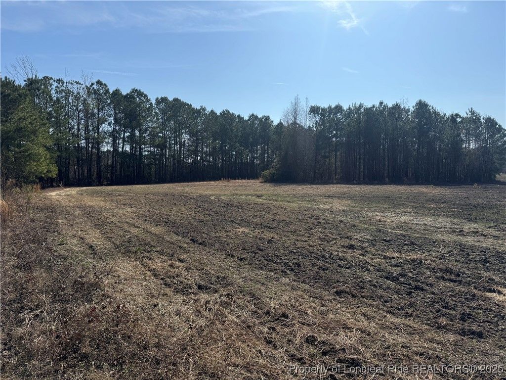 0 American Indian Highway, Lumberton, NC 28358 — photo 4