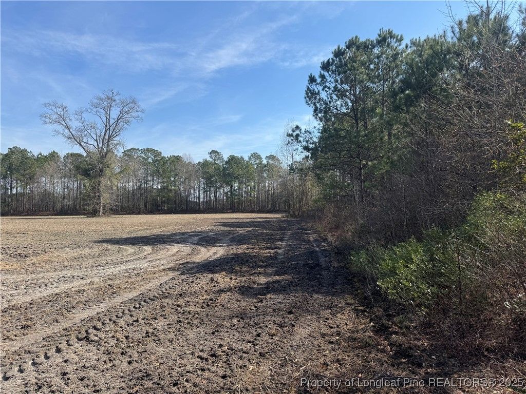 0 American Indian Highway, Lumberton, NC 28358 — photo 9
