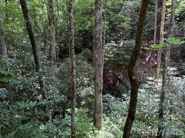 181 Lyman Lane, Rosman, NC 28772