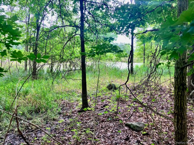 36 Carpenter Road, New Hampton, NY 10958