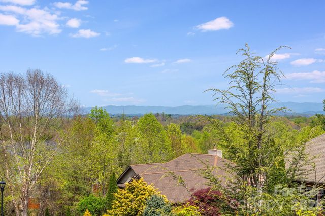 17 Moss Pink Place, Asheville, NC 28806