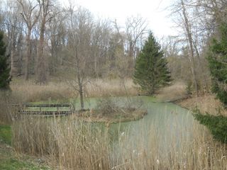 0 Pinegrove Avenue, Irondequoit, NY 14617