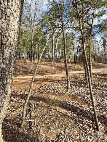 7303 White Pine Drive, Hickory, NC 28602