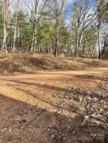 7303 White Pine Drive, Hickory, NC 28602