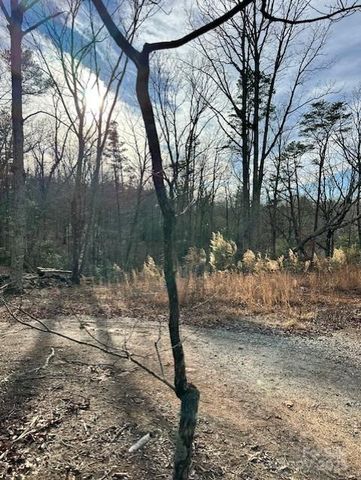 7303 White Pine Drive, Hickory, NC 28602