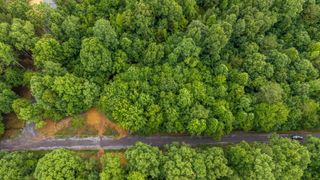 311 Old York Road NE, Cleveland, TN 37323