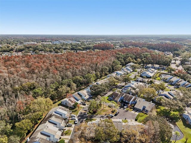 4162 BRENTWOOD PARK CIRCLE, Tampa, FL 33624