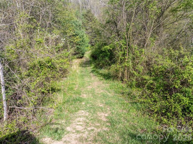 Lot 42 Sunnybrook Trail, Clyde, NC 28721