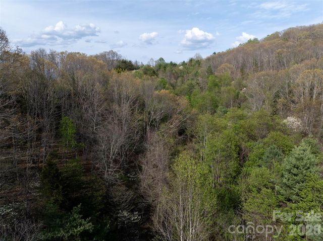 Lot 42 Sunnybrook Trail, Clyde, NC 28721