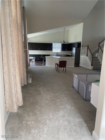 10358 Townley Court, Aurora, OH 44202