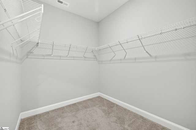 501 Flying Squirrel Way, Greenville, SC 29605