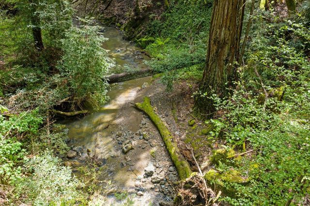 11910 Graton Rd, Sebastopol, CA 95472