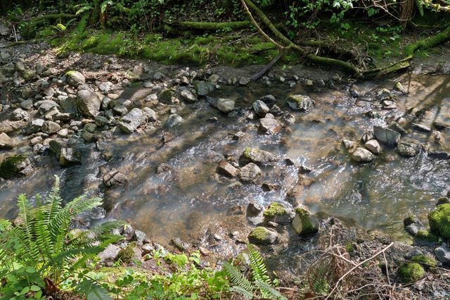 11910 Graton Rd, Sebastopol, CA 95472