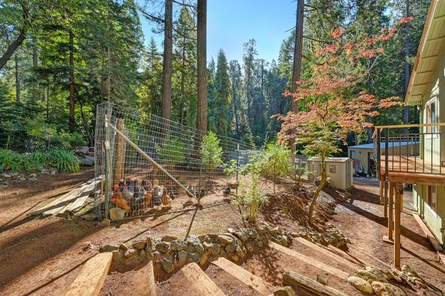 20460 Cedar View Ct, Foresthill, CA 95631