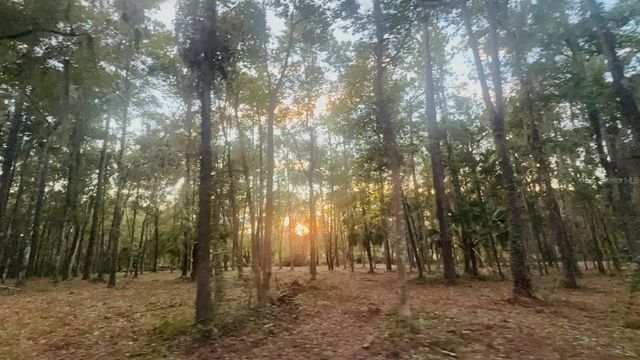 0 SE 40TH AVENUE, Belleview, FL 34420