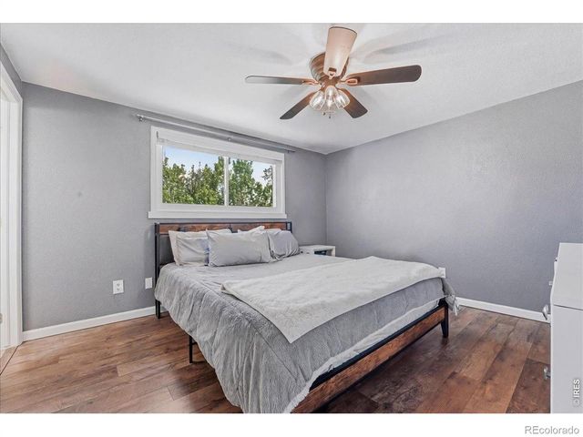 981 Nantucket Street, Windsor, CO 80550