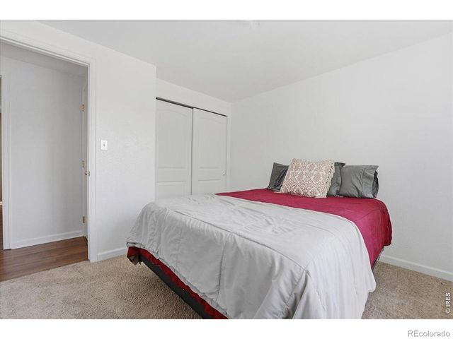 981 Nantucket Street, Windsor, CO 80550