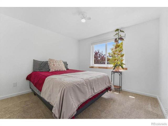 981 Nantucket Street, Windsor, CO 80550