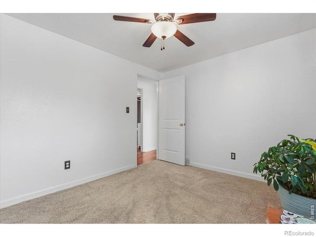 981 Nantucket Street, Windsor, CO 80550