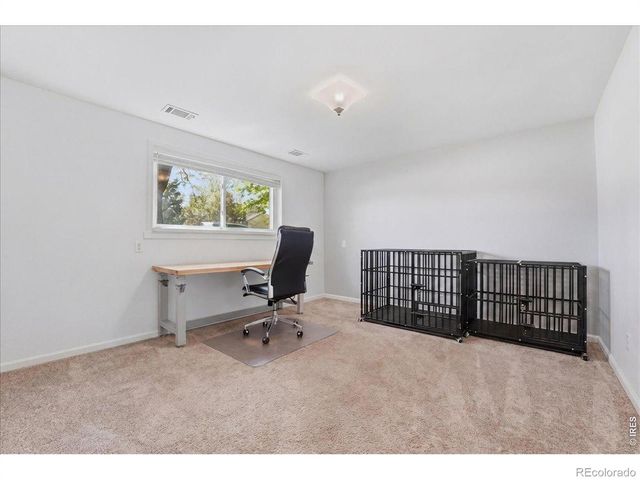 981 Nantucket Street, Windsor, CO 80550