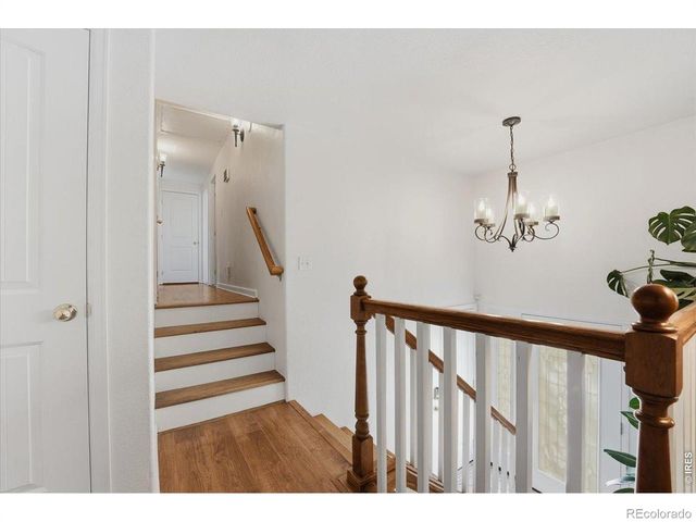 981 Nantucket Street, Windsor, CO 80550